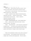 Competencias En La Planeación