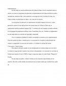 Implementación De Programas