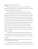 Relación De La Psicología Social Con Otras Ciencias