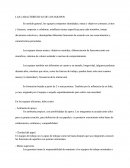 Características De Los Equipos Laborales