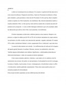 La terminación de un embarazo