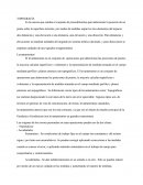 Planimetría y Altimetría Simultáneas