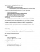 IMPORTANCIA DE LA DEMOGRAFÍA EN EL PERÚ