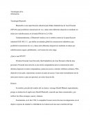 Tecnologías De La Información