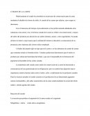 Cárnicos, Curado De La Carne