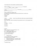 Protocolo Y Aplicación De Bender