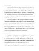 Estímulo Afectivo Como Sistema