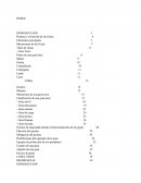 Historia y evolucion de la grúas