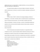 Importancia De La Planeación