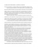 Perfumería Y Cosmética En México