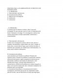 Esquema Para La Elaboración De Un Proyecto