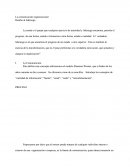 Comunicación Organizacional