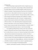 Tecnología Computacional