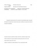 P.A.E. De Paciente Con Herida