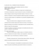 Planeación De La Comisión Tçecnico Pedagógica