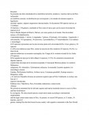 Diversidad De Los Mamíferos Del Perú