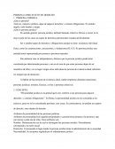 Persona Como Sujeto De Derecho