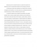 Delincuencia Juvenil
