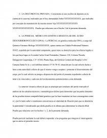 demanda de reconocimiento de paternidad ensayos para estudiantes formato reconocimiento