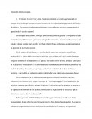 Sociología, La Infancia