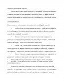 Metodología De Desarrollo De Sistemas