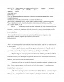 PROYECTO Separación De Residuos, 5to Grado