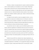 ¿Cuáles son los widget?