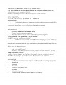 Diseño De Estrategias Didácticas De Escritura