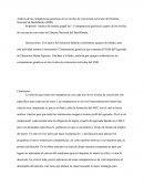 Competencias Genéricas