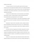 Perdida De La Biodiversidad