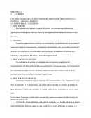 LOS INDICADORES DE GESTIÓN