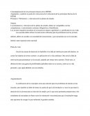 Conceptualizacion De La RIEMS