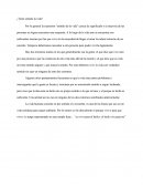 Tiene Sentido La Vida