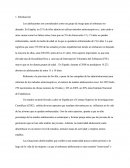 Embarazo Adolescente