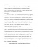 IDEAS DE NEGOCIOS EMPRESA SAN FERNANDO