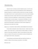 Tareas Críticas Y Procedimientos De Trabajo