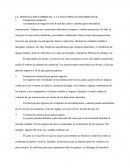 La Transacción Comercial Y Bancaria