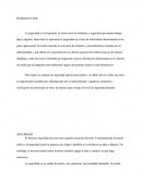 Seguridad Operacional En El Area Informatica