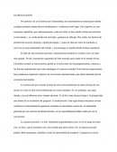 La Globalizacion Y Consecuencias