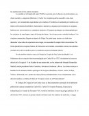 La Sanidad En La Historia Española