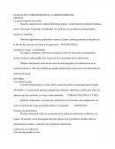 Planeación De Español