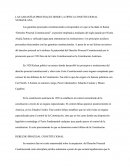 LAS GARANTÍAS PROCESALES DESDE LA CONSTITUCION VENEZOLANA