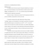 Elaboración De La Cerveza