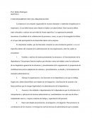 FUNCIONAMIENTO DE UNA ORGANIZACIÓN