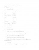 Proceso De Enfermeria En Pediatria
