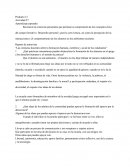 INTERVENCIÓN DIDÁCTICA