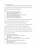 Autopsia Medico Legal