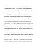 Origenes De La Sinergia