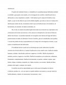 Introduccion A La Criminologia