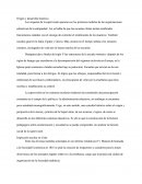 Historia De Las Organizaciones Educativas